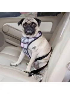 Kutya biztonsági öv az autóba