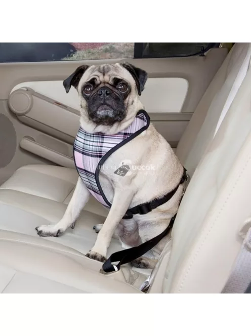 Kutya biztonsági öv az autóba