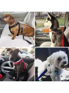 Kutya biztonsági öv az autóba