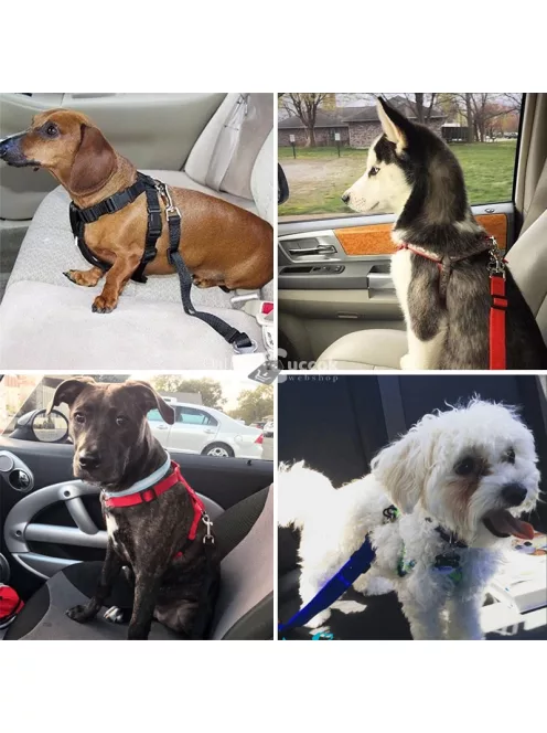 Kutya biztonsági öv az autóba