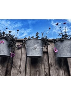 Horganyzott kaspó akasztóval 8x9,5x10 cm