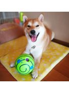 Tappancs hangot kiadó kutya labda