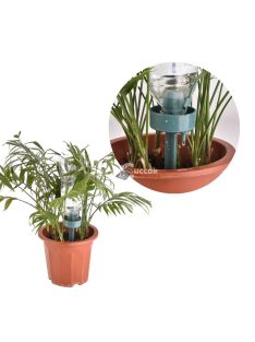 Automata állítható csepegtető készülék