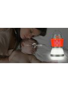 2 az 1-ben LED szúnyogírtó lámpa