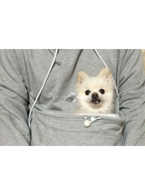 Macskahordozó, cicahordozó pulcsi, macskás pulóver, cicás pulcsi