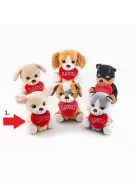 Valentin napi hűség kutyus