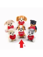 Valentin napi hűség kutyus