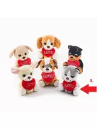 Valentin napi hűség kutyus