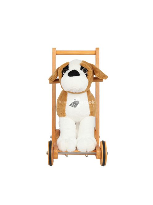 Járássegítő Bernard kutya