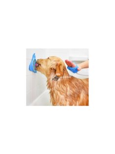 Feltapasztható kutya etető