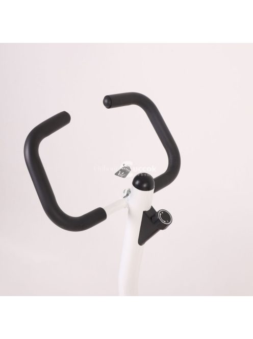 Robiflex szobakerékpár - kék