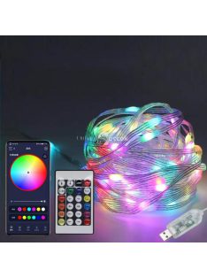   10 méteres karácsonyi fényfüzér - applikáció+távirányító
