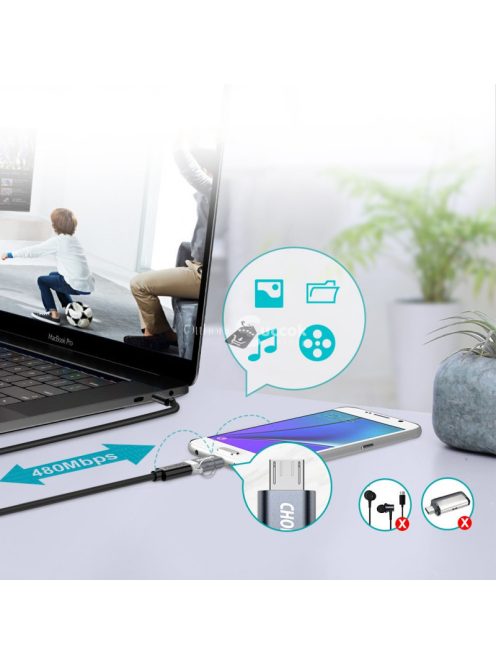 Choetech PD-2CMGY kulcstartós TYPE-C micro USB átalakító