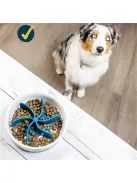 Habzsolásgátló kutyusoknak