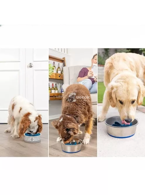 Habzsolásgátló kutyusoknak