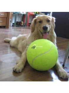 Óriás teniszlabda kutyajáték (24 cm)