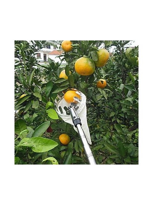 Gyümölcsszedő Szüretelő Fej