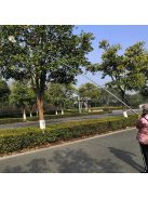 Gyümölcsszedő Szüretelő Fej