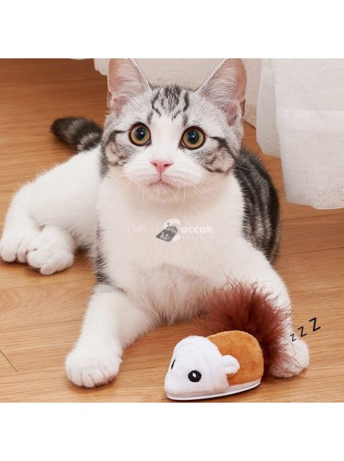 Futkározó egér cicajáték