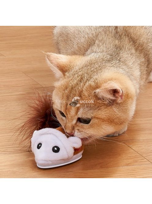 Futkározó egér cicajáték