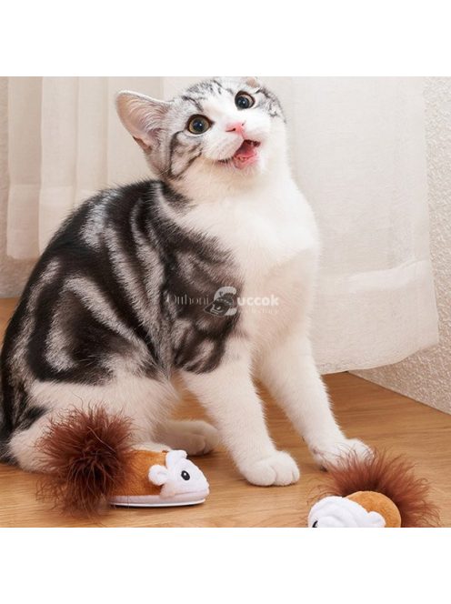 Futkározó egér cicajáték