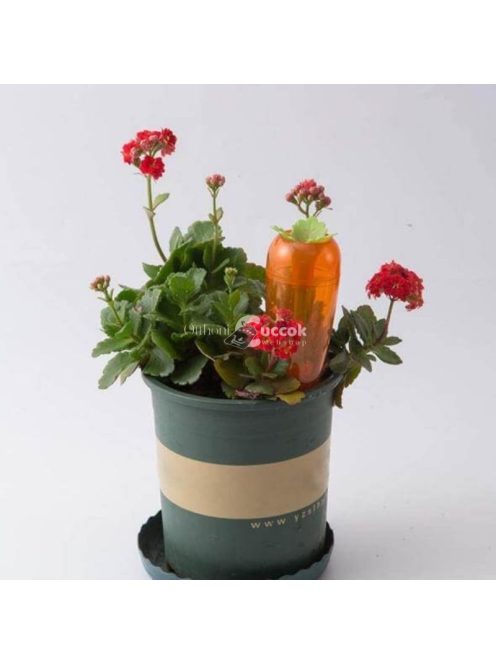 Répa formájú automata  csepegtető (2 db)