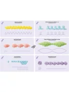 Tortadíszítő gyakorlólapok (12 db)