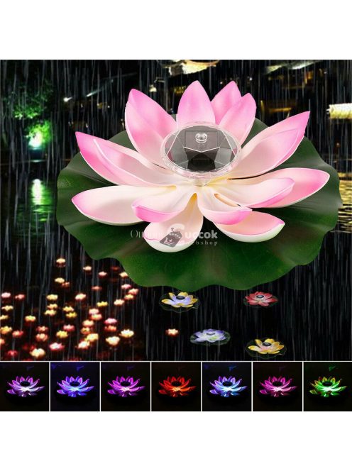 Óriás napelemes tavirózsa