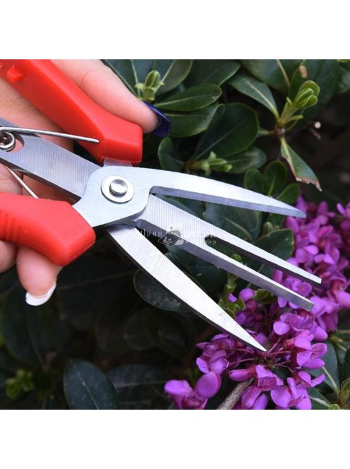 Ritkító metszőolló