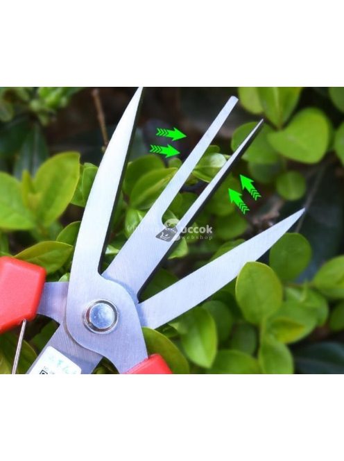 Ritkító metszőolló