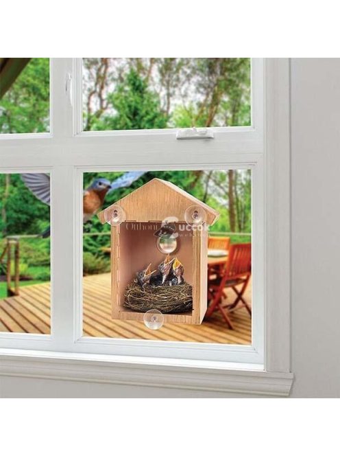 Madárház, madárles