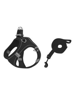 Macskahám pórázzal