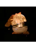 Éjjeli fény, kivetítős lámpa