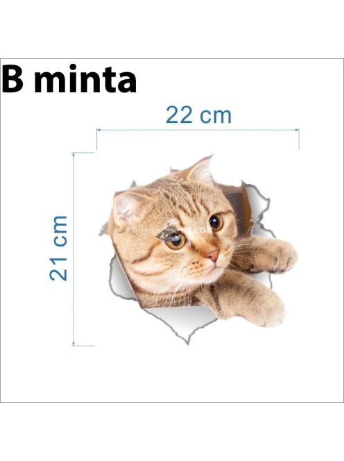 3D Cica Matrica