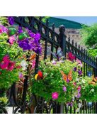 Kerti Pillangó (50db)