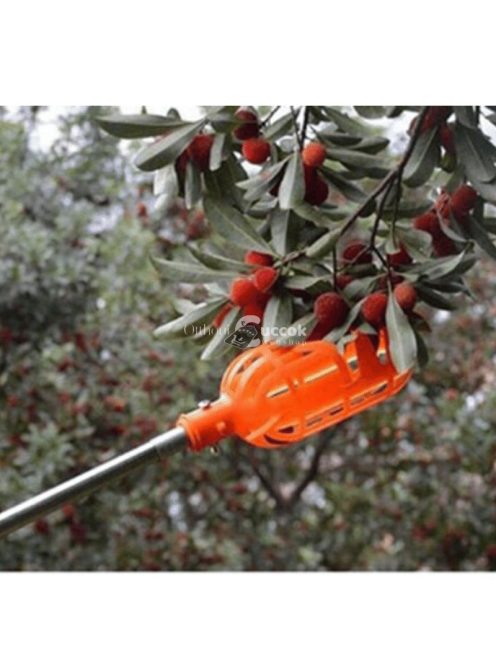 Gyümölcsszedő fej