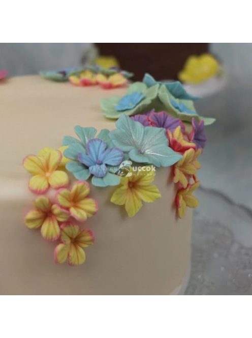 Fondant forma és mintázó készlet