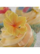 Fondant forma és mintázó készlet