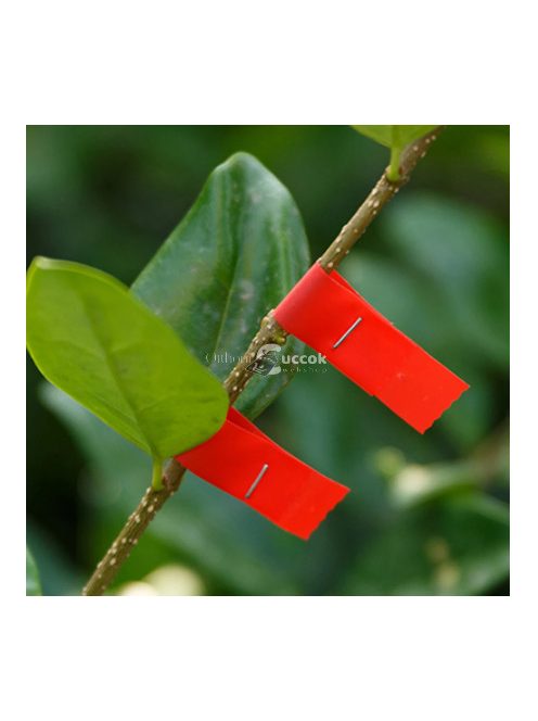 Kötözőgép szalag