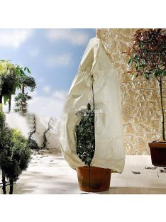 Téli növénytakaró