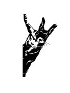 Mókus alakú kerítésdísz