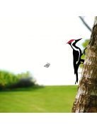 Fakopáncs kerti dísz