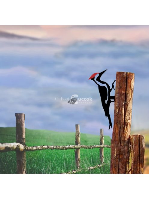 Fakopáncs kerti dísz