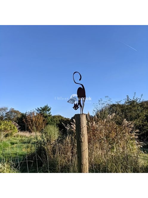 Macska kerítés dekoráció