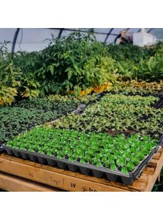 72 részes Palánta nevelő tálca, 10db