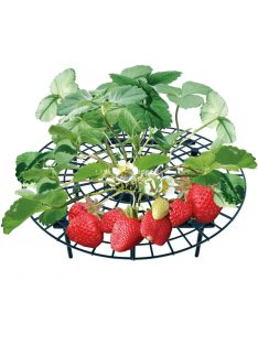 Kertészeti állvány eperhez