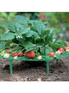 Kertészeti állvány eperhez