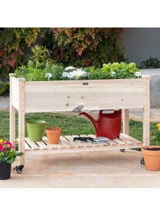 Guruló fa palántázó