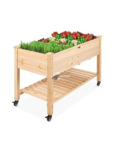 Guruló fa palántázó