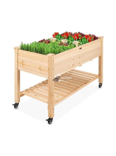 Guruló fa palántázó